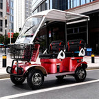 Electric Mobility Scooter 650W 60V 20Ah