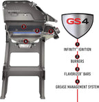 Weber Spirit II E-310 3-Burner Liquid Propane Grill, Black - 45010001