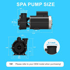 LINGXIAO Spa Pump 4 HP 2 Speed 220-240V 2 in Port 56 Frame - 56WUA400-II