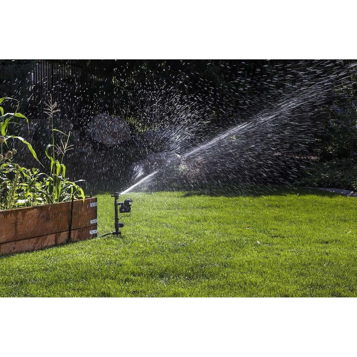 Orbit Motion Activated Yard Enforcer Sprinkler, 1600 Square Foot, 6.3 in W x 6.6 in D x 12.1 in H - 62100