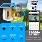 sainlogic Smart Bird Feeder With 1080P Camera, 2.5L Capacity, Light Blue - Smart Bird Feeder With Camera-1