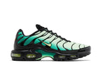 Nike Air Max Plus Vapor Green Gradient - DM0032 301