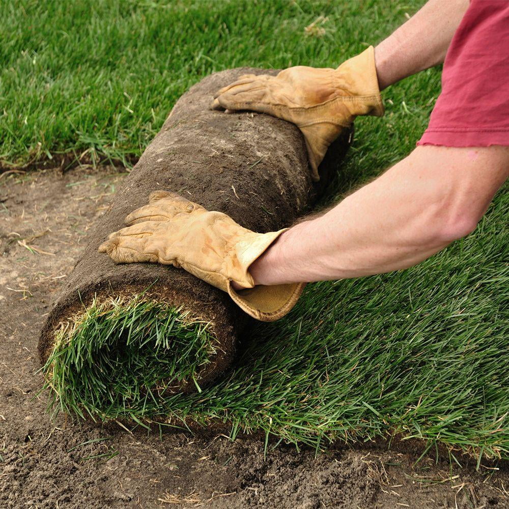Centipede Sod Pallet, 500 sq. ft.