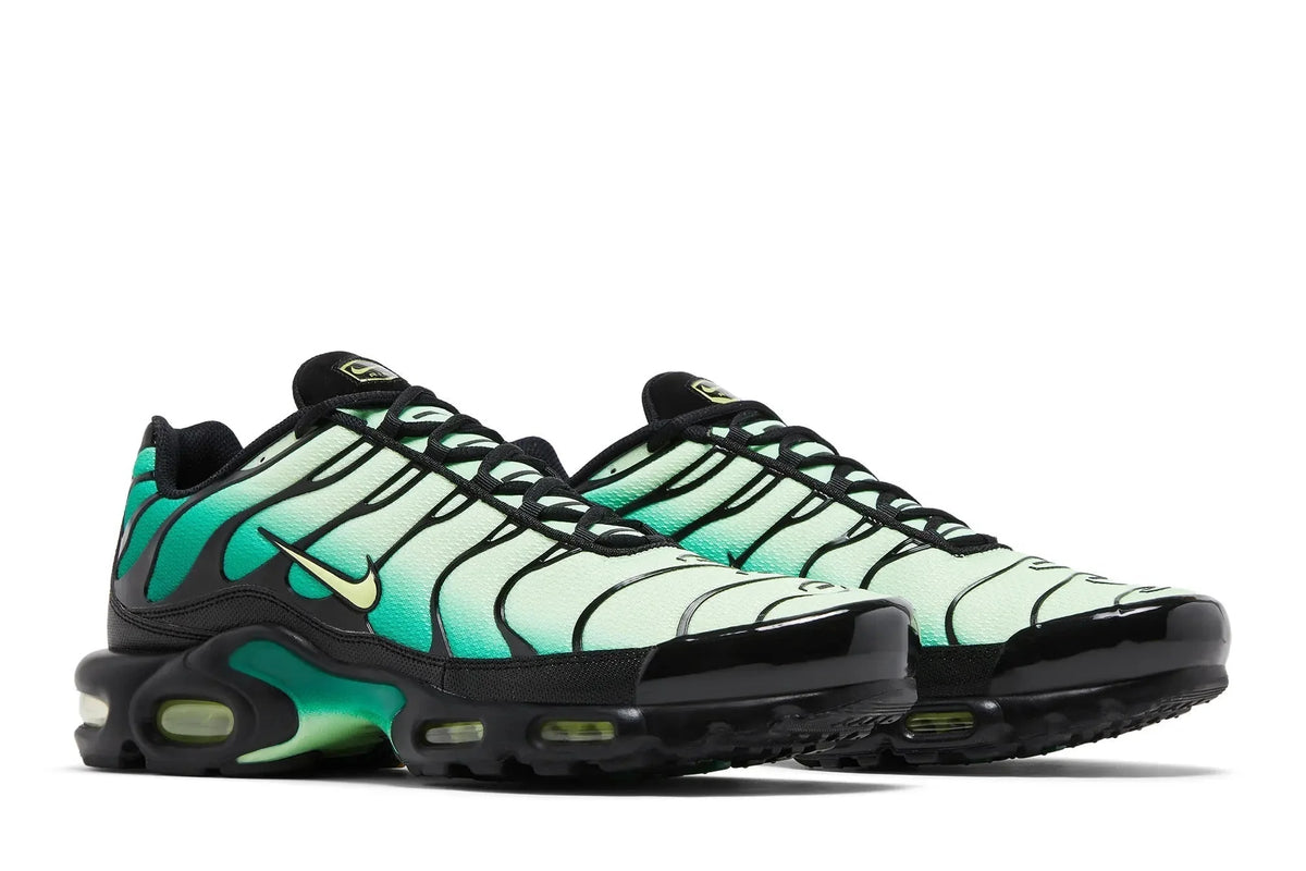 Nike Air Max Plus Vapor Green Gradient - DM0032 301