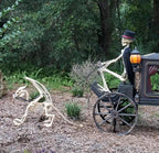 Pterosaur Skeleton Halloween Decoration - 4ft, 49in Long x 36in High