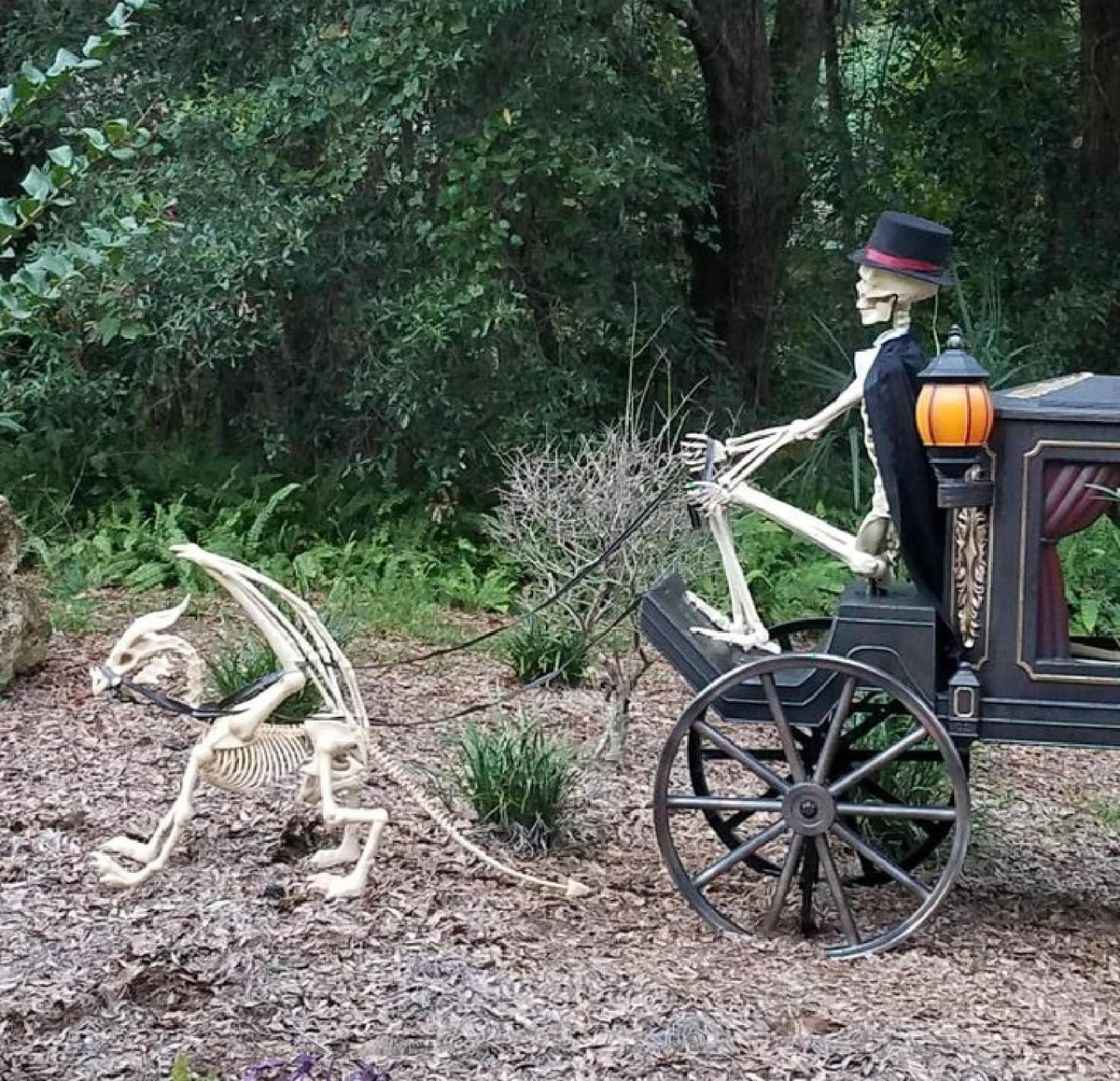 Pterosaur Skeleton Halloween Decoration - 4ft, 49in Long x 36in High