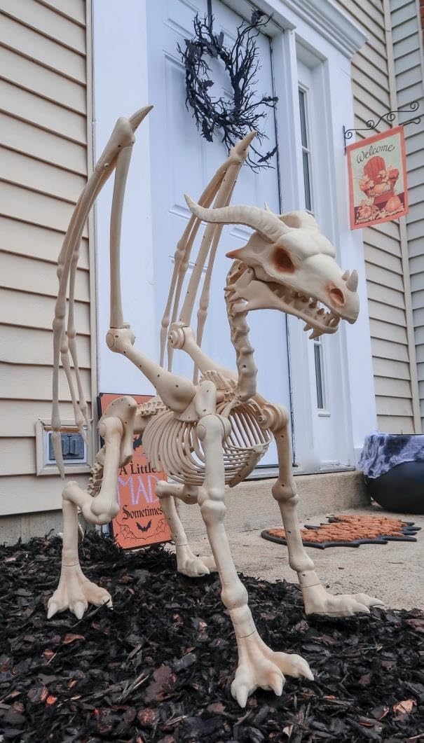 Pterosaur Skeleton Halloween Decoration - 4ft, 49in Long x 36in High
