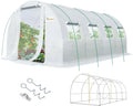 KING BIRD Walk-In Greenhouse 20x10x6.6FT White