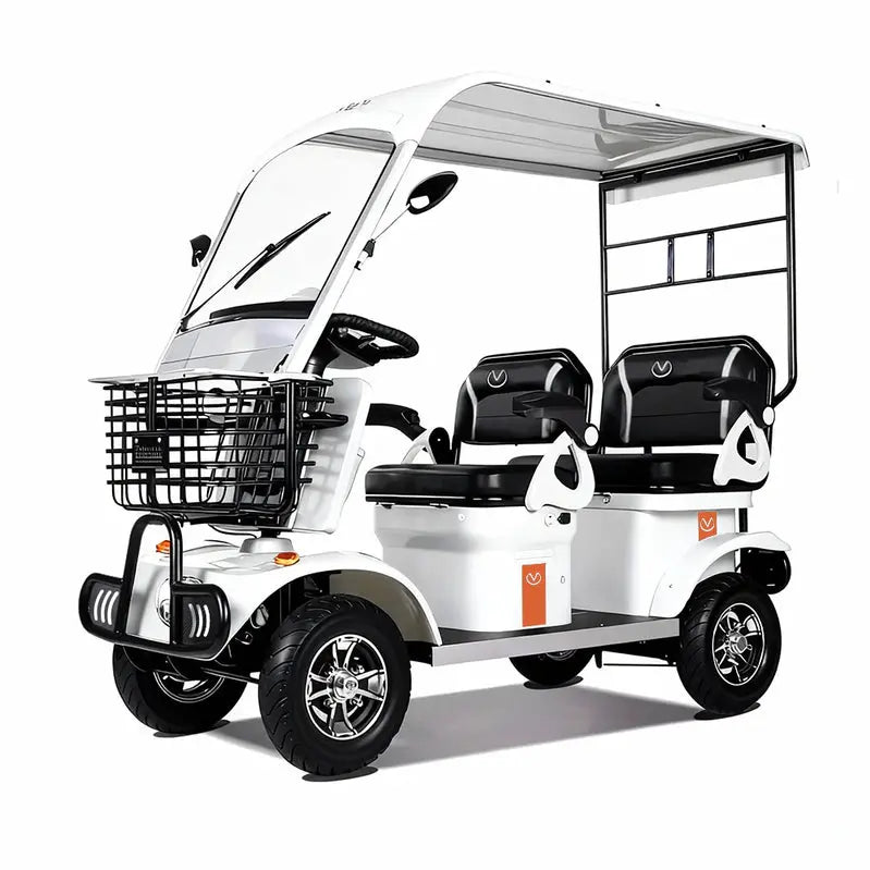 Electric Mobility Scooter 650W 60V 20Ah