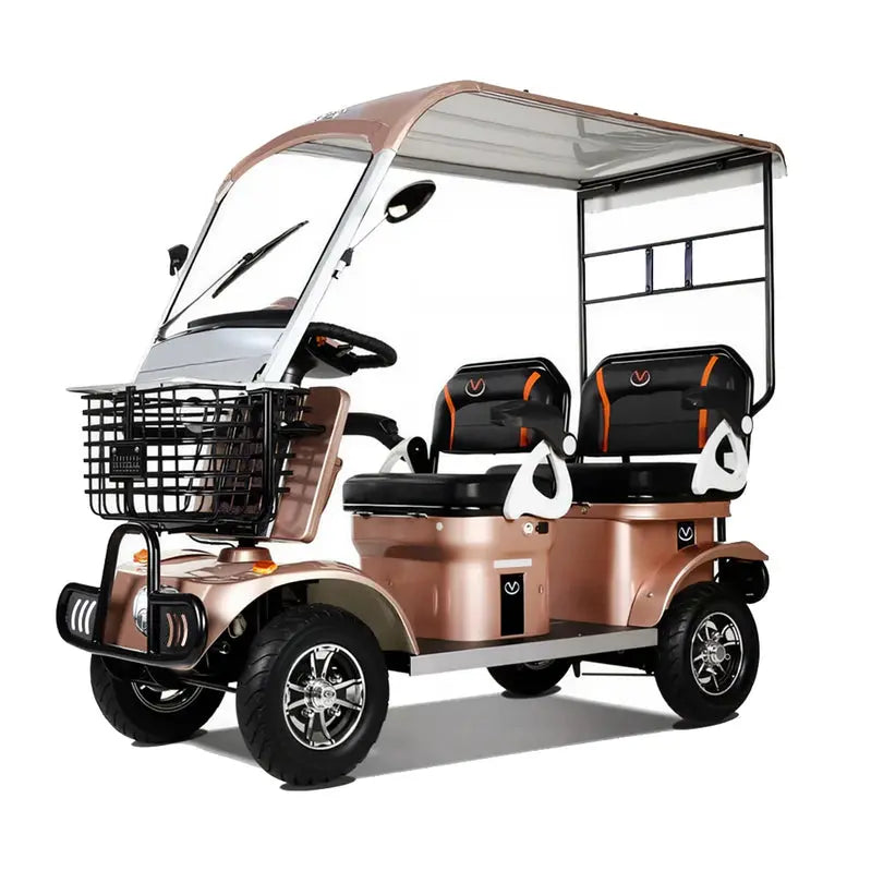Electric Mobility Scooter 650W 60V 20Ah