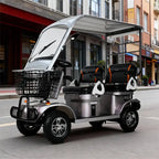 Electric Mobility Scooter 650W 60V 20Ah