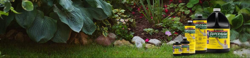 SUPERthrive Plant Vitamin Solution, 5 Gallon - VI30182