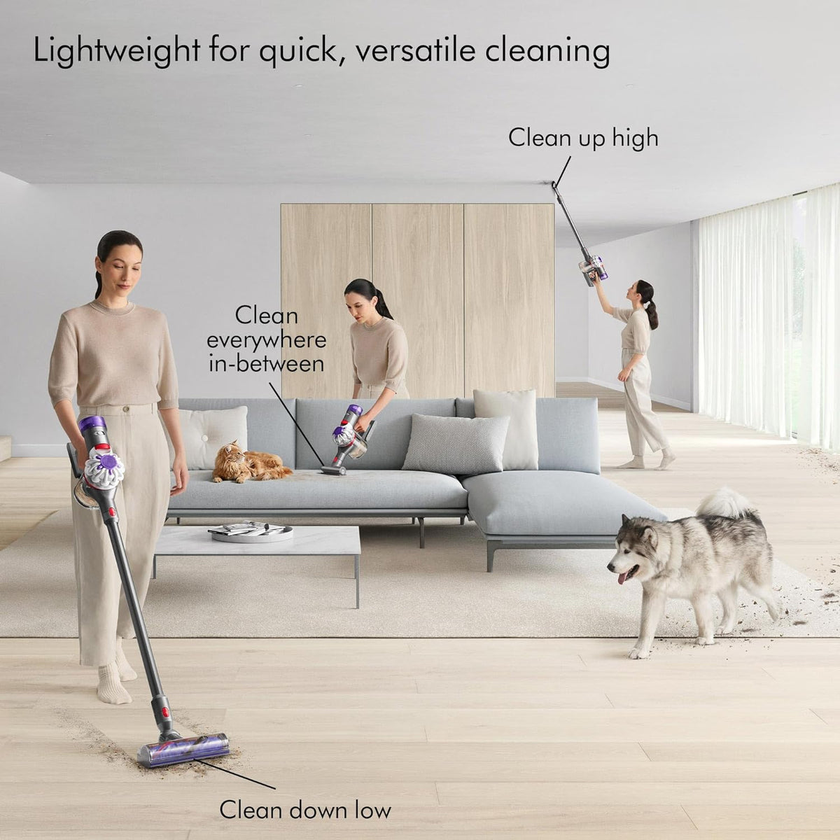 V8 Cordless Vacuum Cleaner