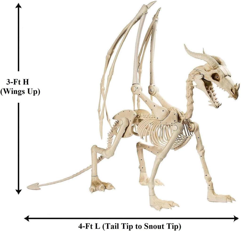 Pterosaur Skeleton Halloween Decoration - 4ft, 49in Long x 36in High