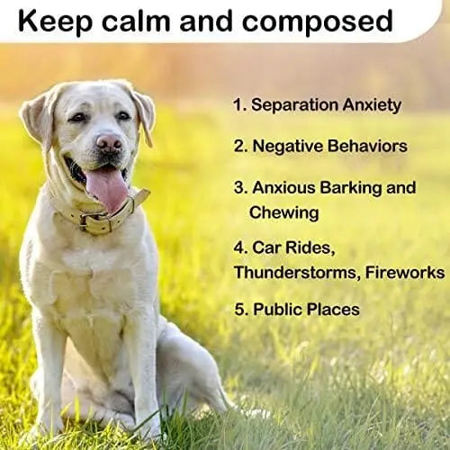 CalmPaws Puppy Heartbeat Plush Toy - Anxiety Relief Sleep Aid