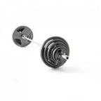 Gold's Gym Olympic Weight Set 300 lb With 7 Olympic Bar - WGGOP300