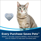 BISSELL PowerLifter Ion Pet Cordless Stick Vacuum With Removable Hand Vac, Purple - 3191