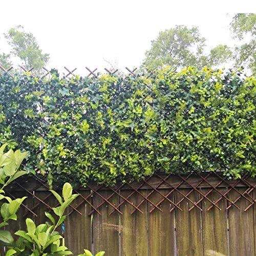 Glant Willow Expandable Garden Trellis Fence - 22X120 inch