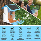 sainlogic Smart Bird Feeder With 1080P Camera, 2.5L Capacity, Light Blue - Smart Bird Feeder With Camera-1