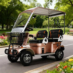 Electric Mobility Scooter 650W 60V 20Ah